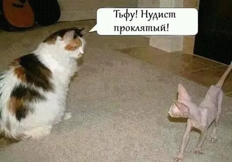 p.600.600.0-world23.spcs.bio (1).webp