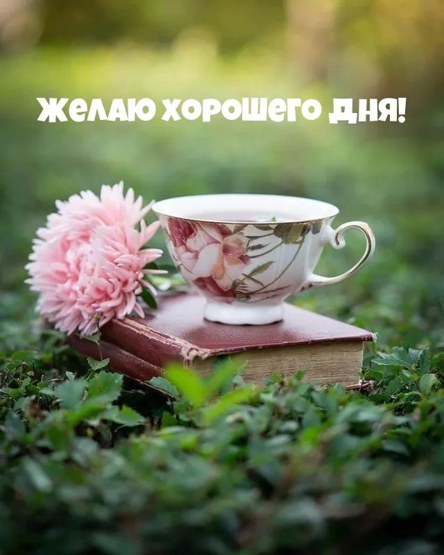 photowords_ru_6468.webp