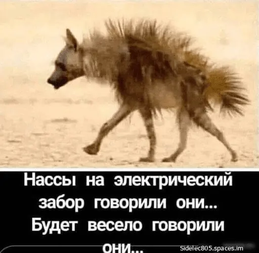 Phv2sMy5zwk-world72.spcs.bio.webp