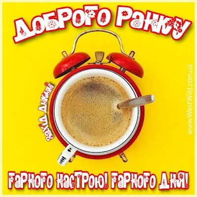 PicsArt_03-05-11.25.31.webp