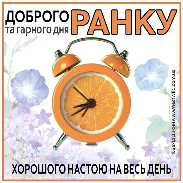 PicsArt_08-04-10.53.22.webp