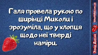PicsArt_08-21-10.56.12.webp
