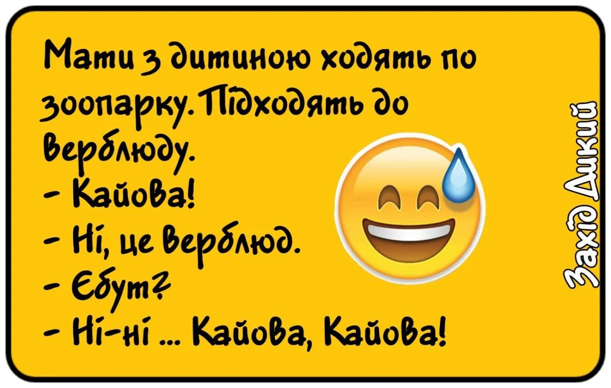 PicsArt_11-22-11.33.49.webp