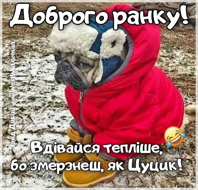 PicsArt_12-03-11.39.33.webp