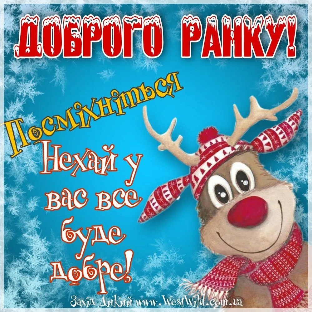 PicsArt_12-03-12.03.28.webp
