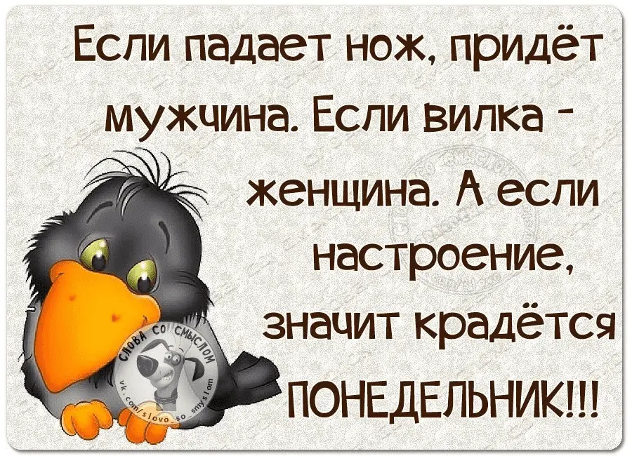 Ponedelnik-world11.spcs.bio.webp