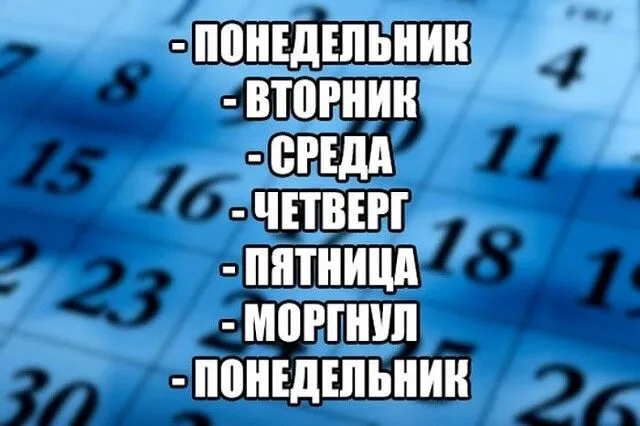 Ponedelnik-world11.spcs.bio.webp