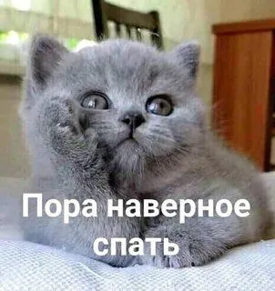 pora-navernoe-spat.webp