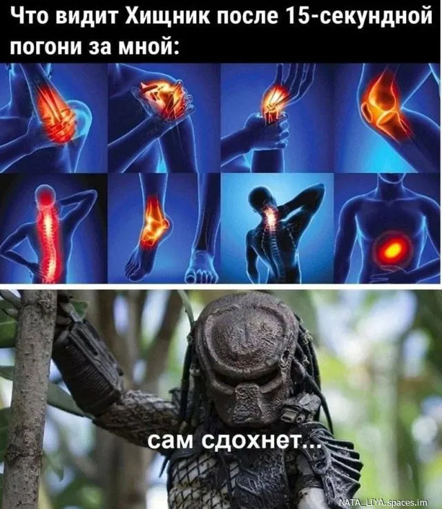 Poshlyj-i-smeshnoj-jumor-9-world73.spcs.bio.webp