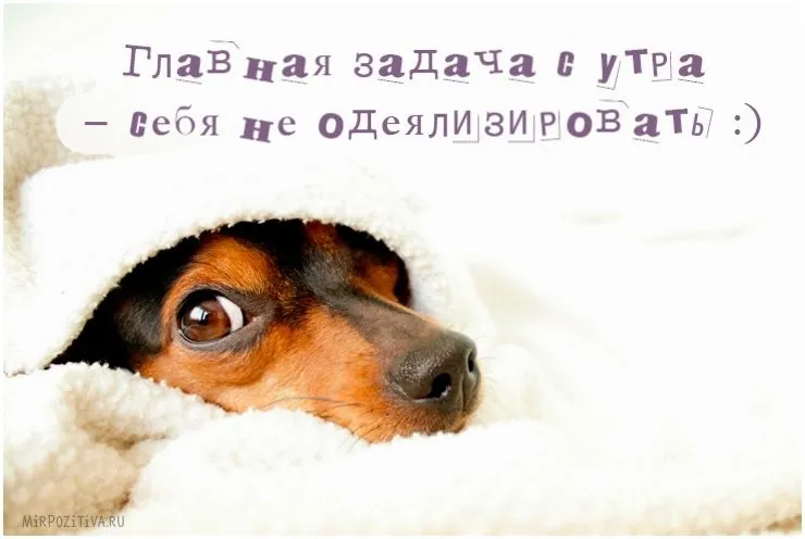 prikolnye_kartinki_dobroe_utro_02147121630.webp