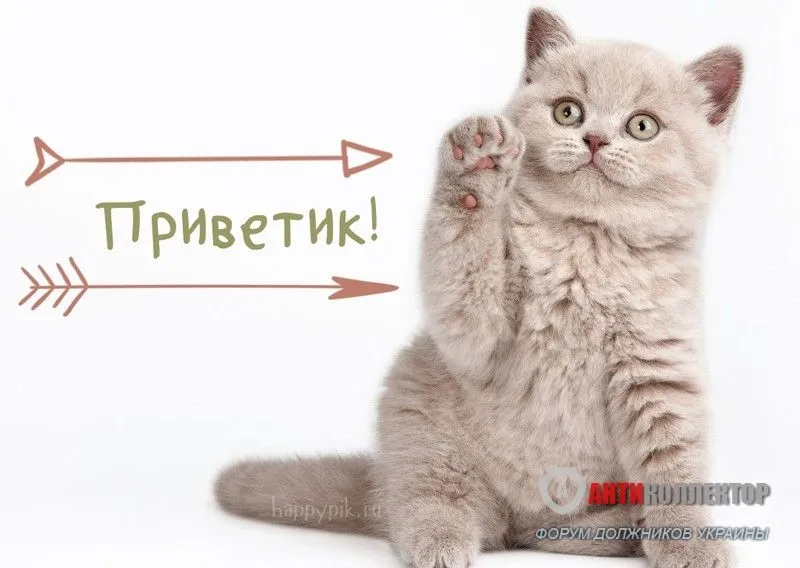 privet-kartinki39_happypik.ru_.webp