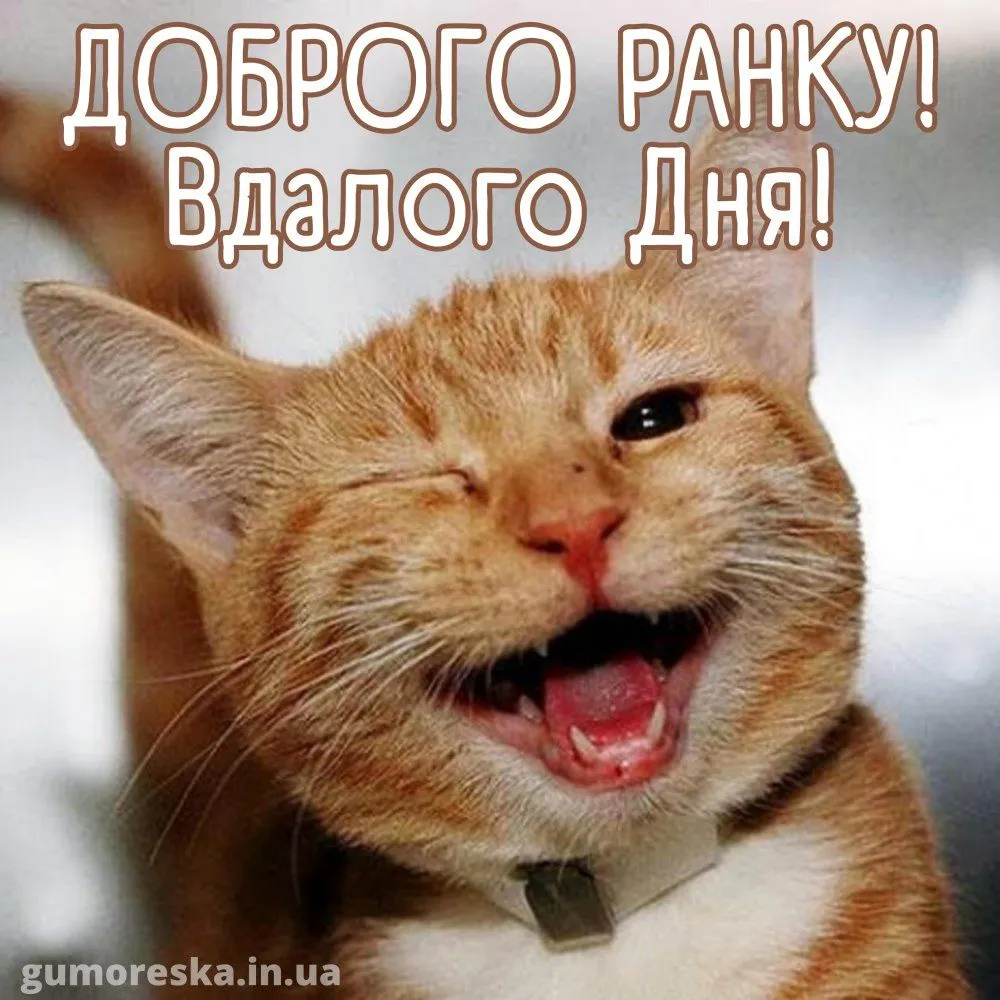 Прикольна картинка з добрим ранком скачати HD - 2.webp