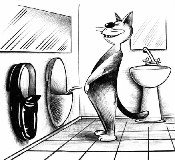 Писсуары_для_котов.webp