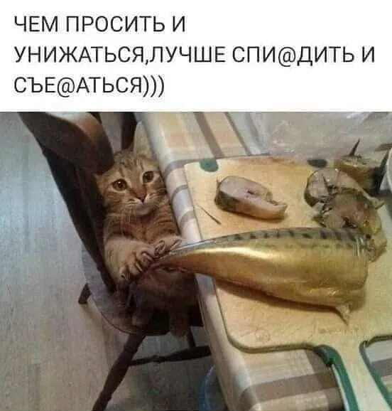 QfbRaXKbFII-world7.spcs.bio.webp