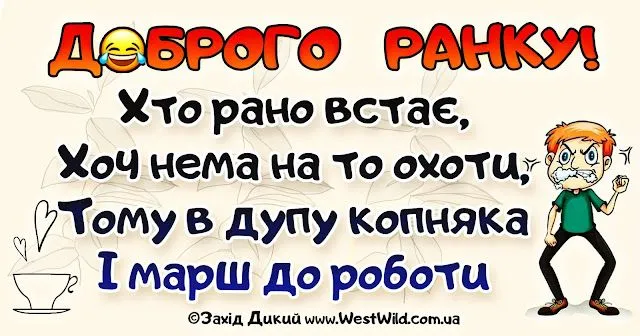 ranok.webp