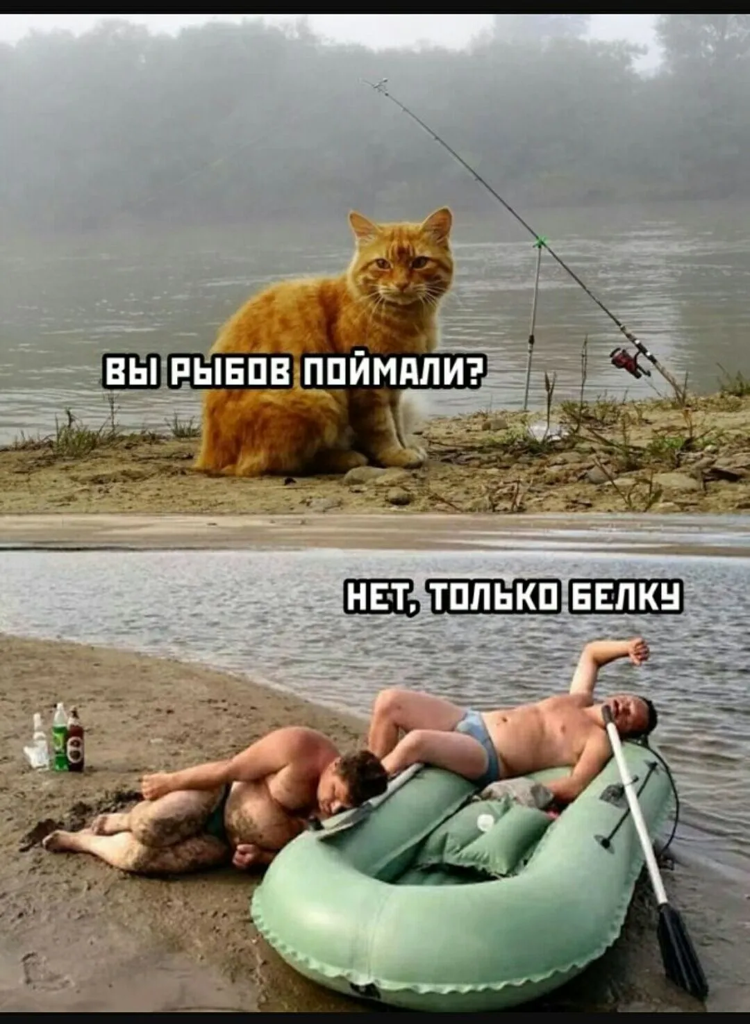 S10901-224227(1).webp