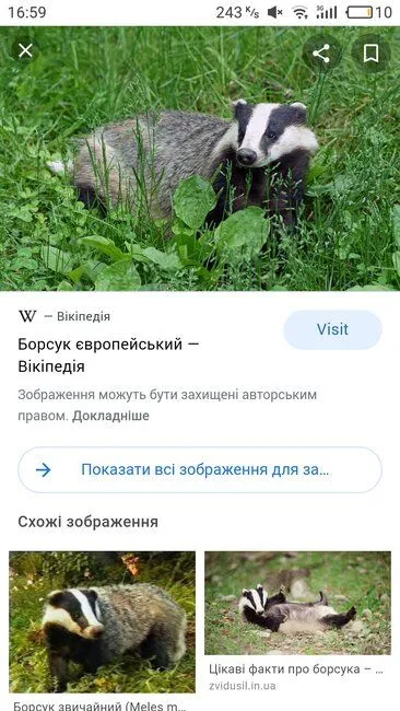 S11110-165941.webp