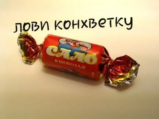 salo.webp