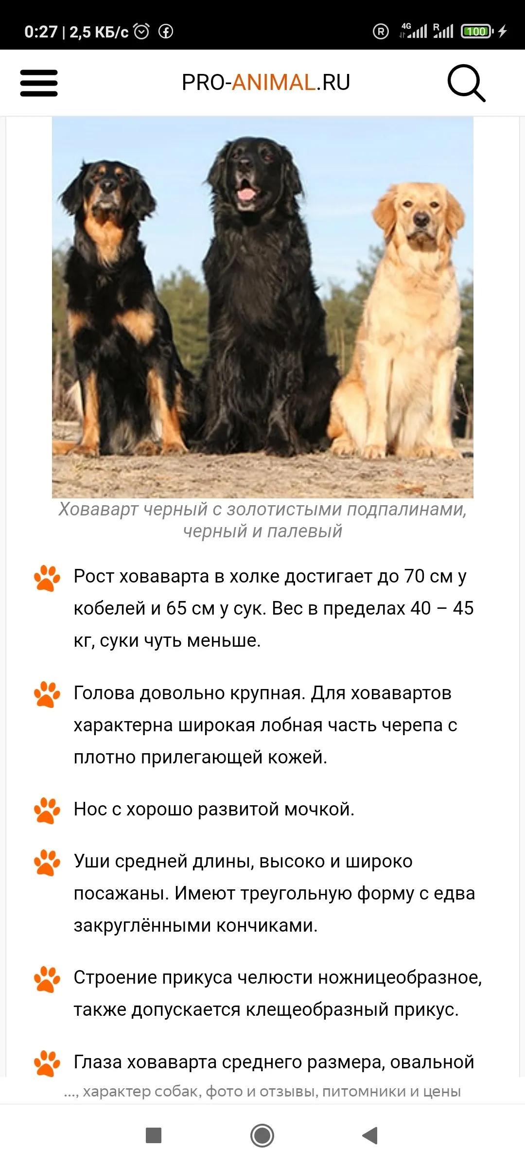 Screenshot_2021-09-01-00-27-45-360_com.yandex.browser.webp