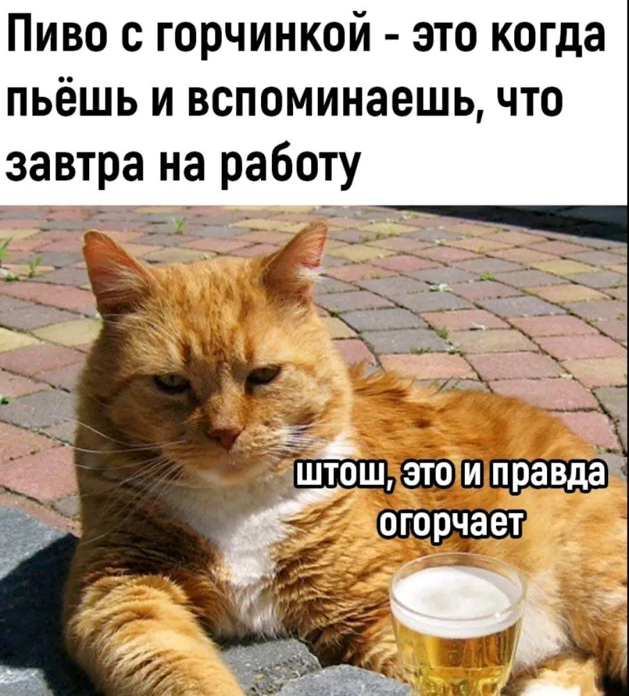 Screenshot_2023-05-31-20-25-36-680_com.viber.voip-edit.webp