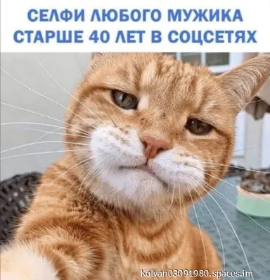 Screenshot_20230610-05094101-world11.spcs.bio.webp