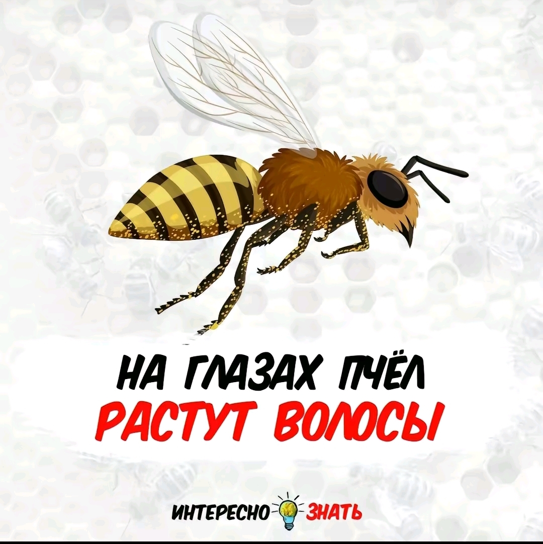 Screenshot_2024-01-29-22-06-13-415_com.zhiliaoapp.musically-edit.webp