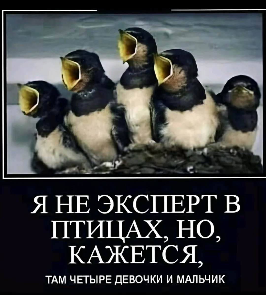 Screenshot_2024-02-03-13-56-05-664_com.zhiliaoapp.musically-edit.webp