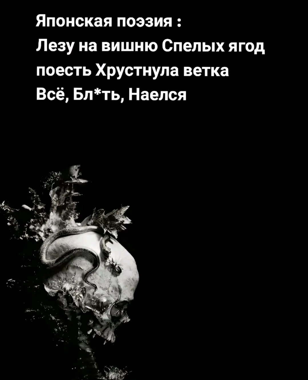 Screenshot_2024-02-14-17-18-51-481_com.zhiliaoapp.musically-edit.webp