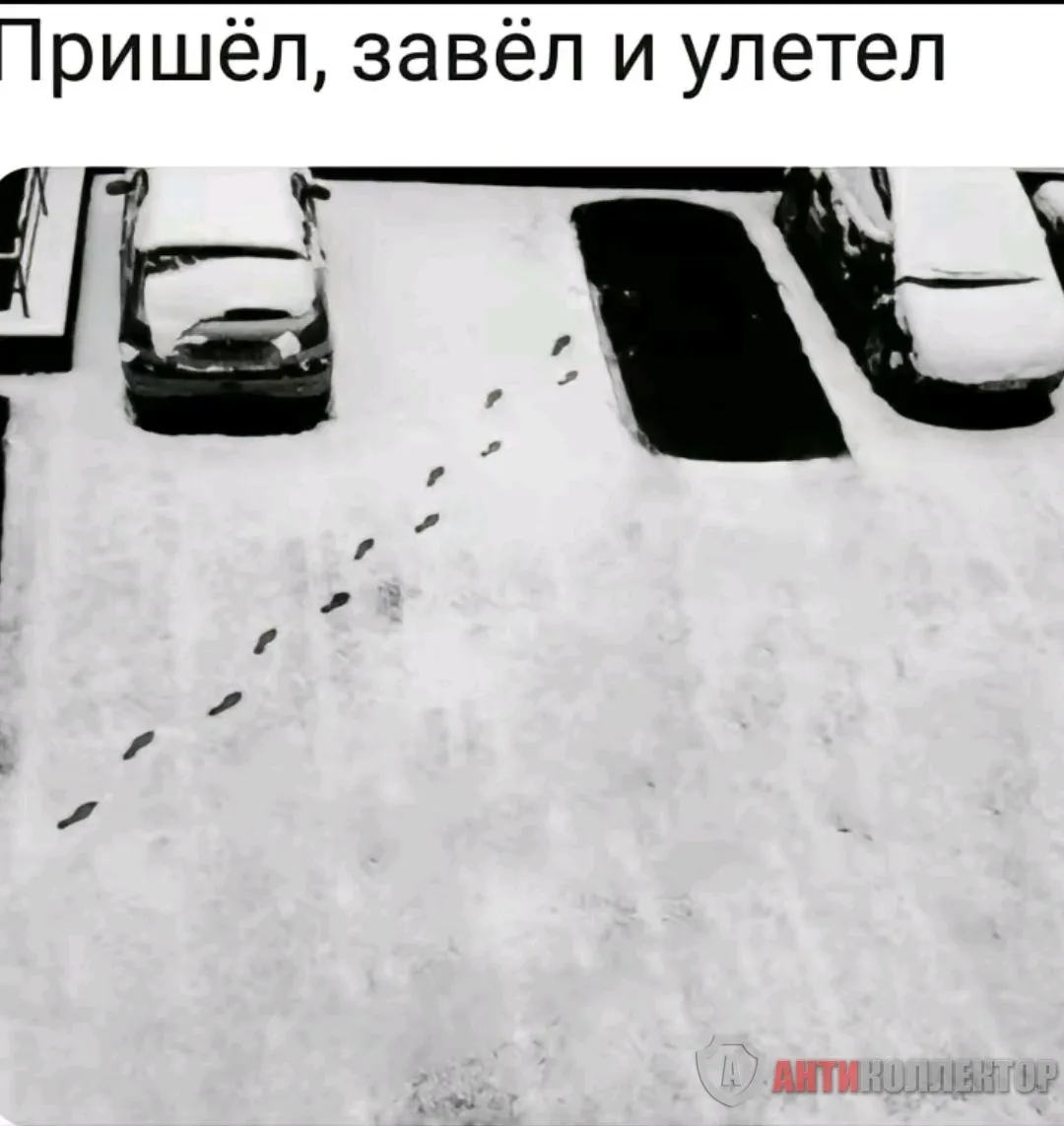 Screenshot_2024-02-21-13-02-41-894_com.zhiliaoapp.musically-edit.webp