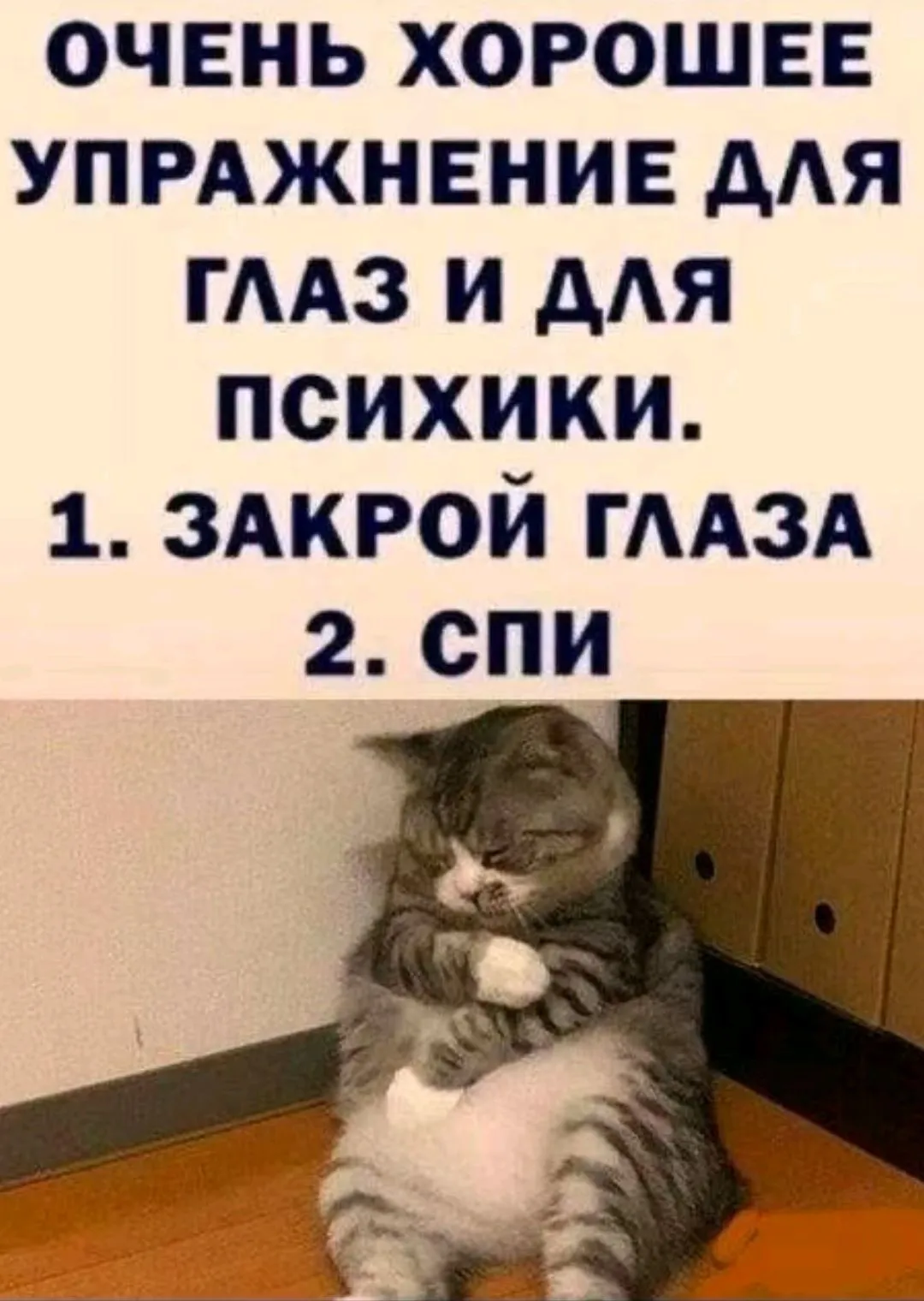 Screenshot_2024-05-21-13-50-31-576_com.zhiliaoapp.musically-edit.webp