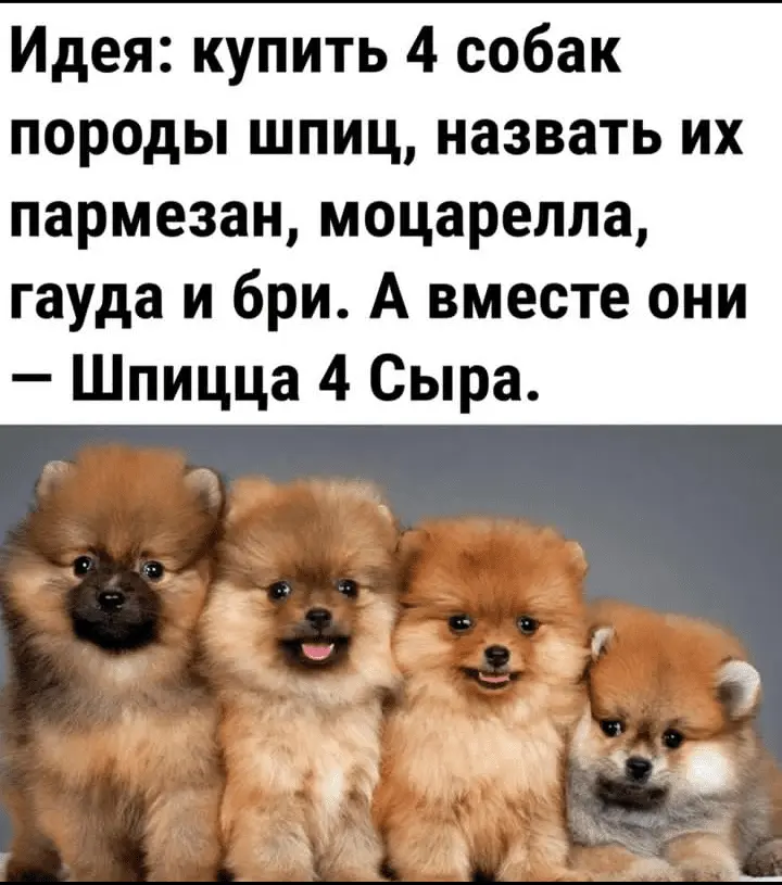 Screenshot_20240115-102547.webp