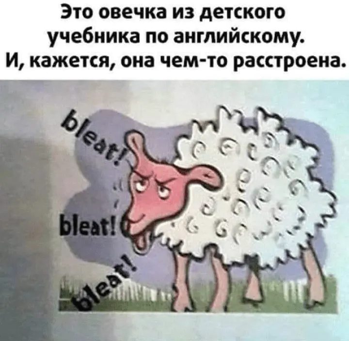 Screenshot_20240115-163911.webp