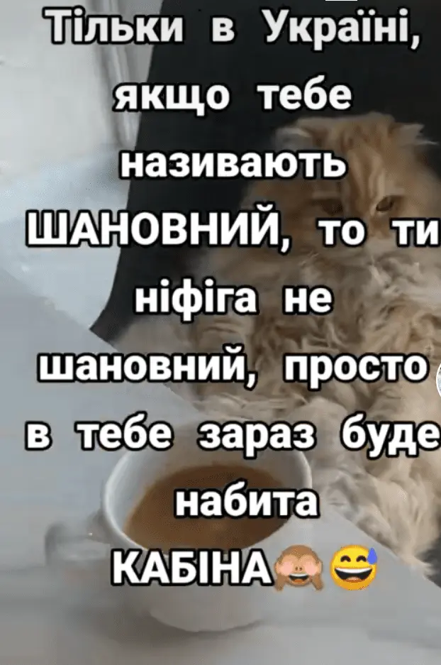 Screenshot_20240116-145503.webp