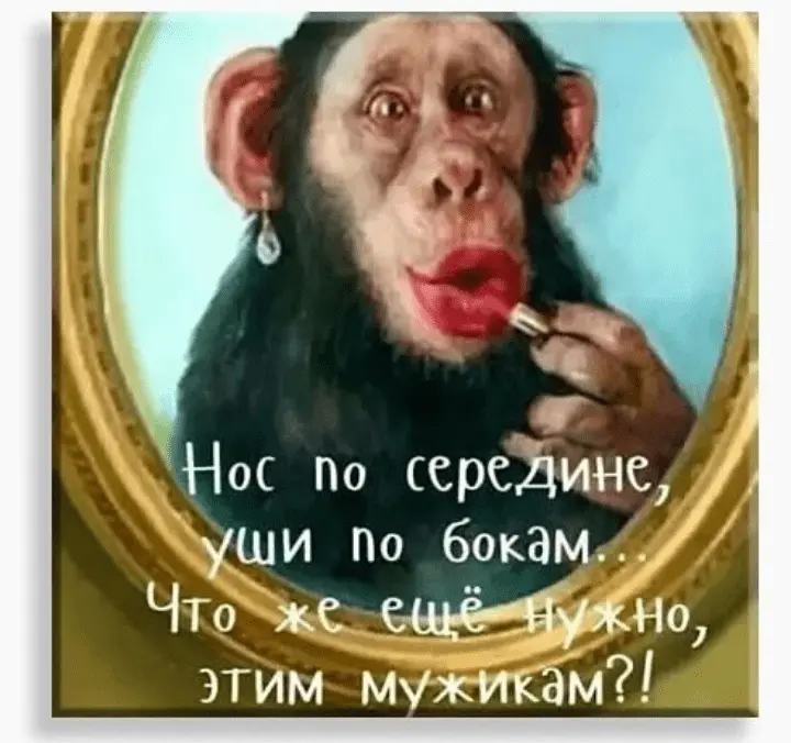 Screenshot_20240202-224336.webp