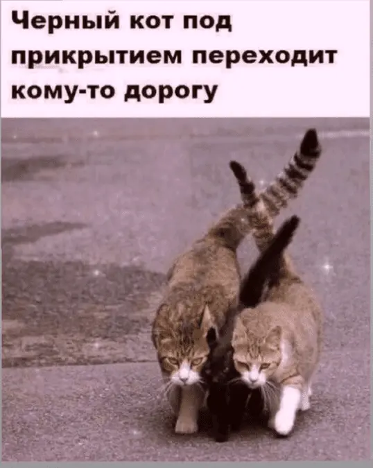 Screenshot_20240206-215819.webp