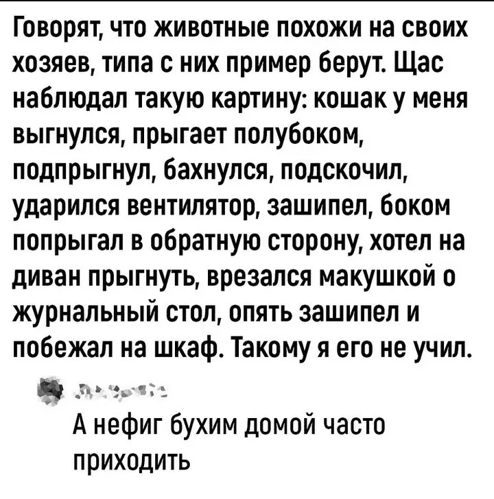 Screenshot_20240210-223148~2.webp