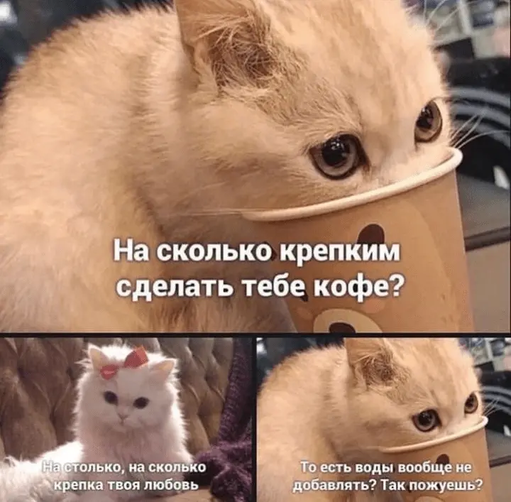 Screenshot_20240226-094926.webp