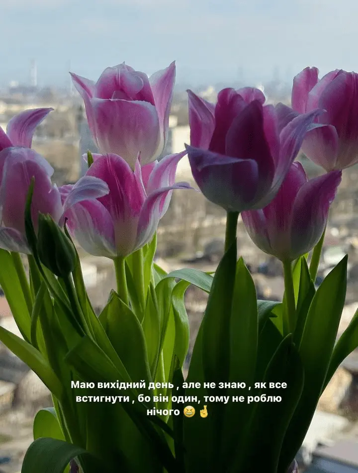 Screenshot_20240226-134520.webp