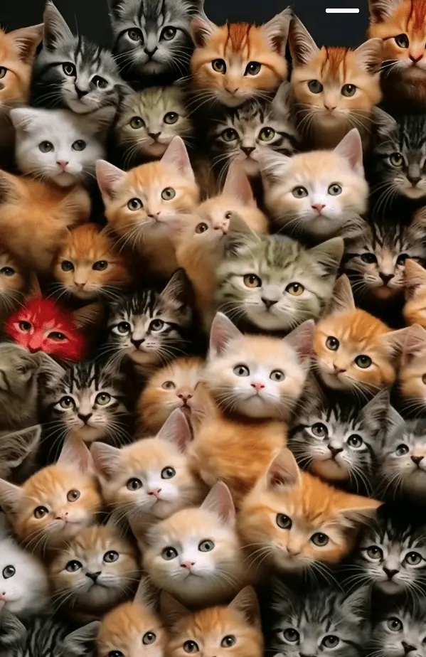 Screenshot_20240228-184542.webp
