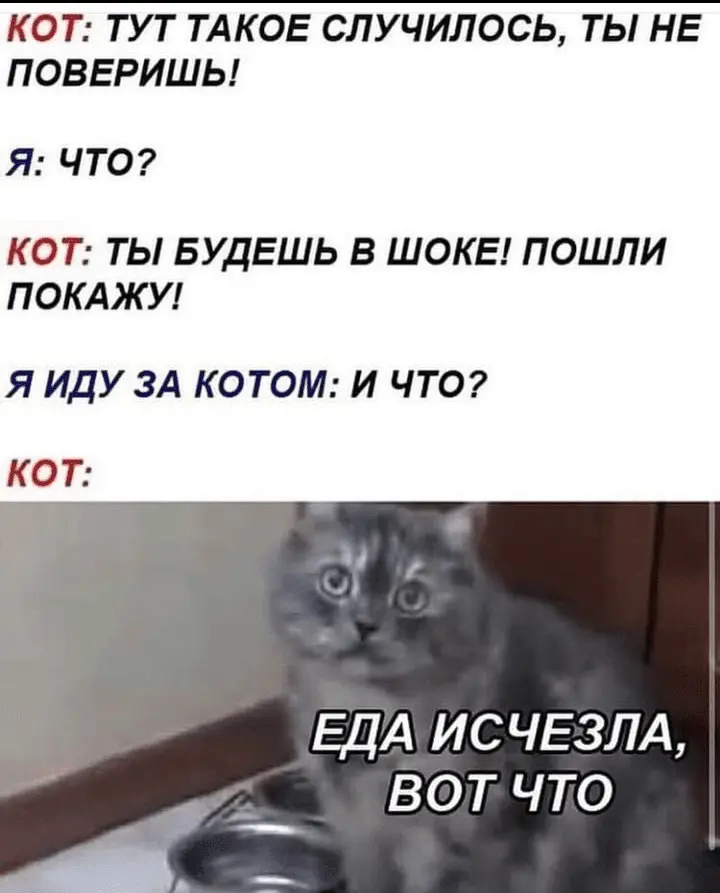 Screenshot_20240304-232808~2.webp