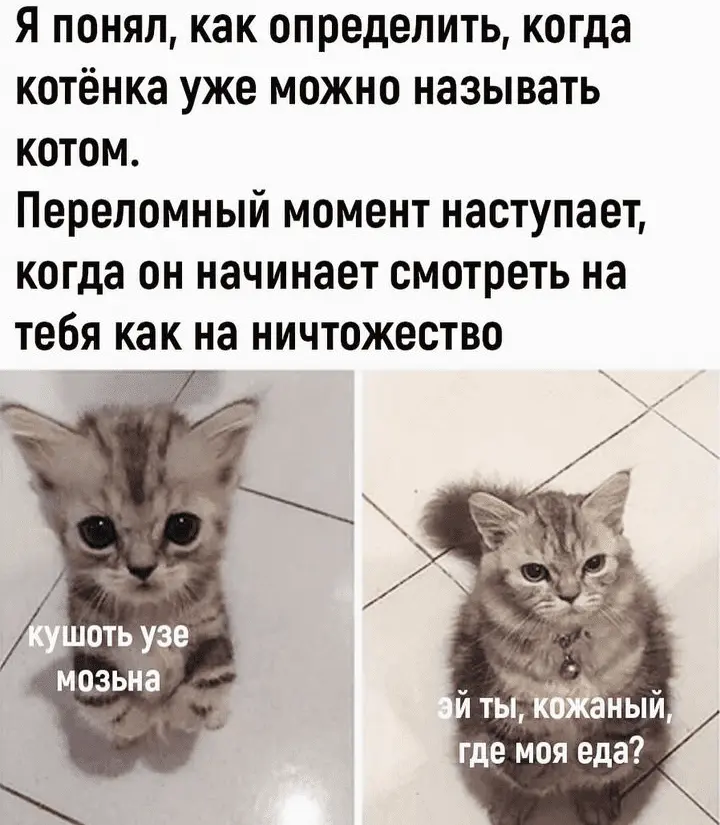 Screenshot_20240305-203526~2.webp