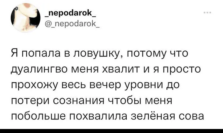 Screenshot_20240306-144632~2.webp