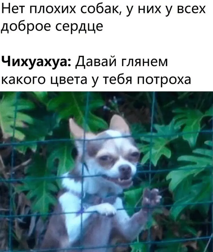 Screenshot_20240306-150931~2.webp