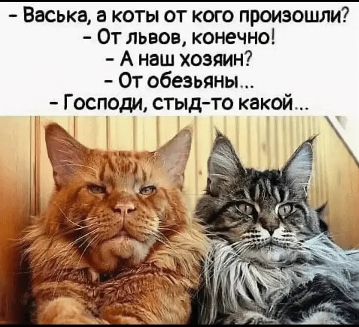 Screenshot_20240306-215958.webp