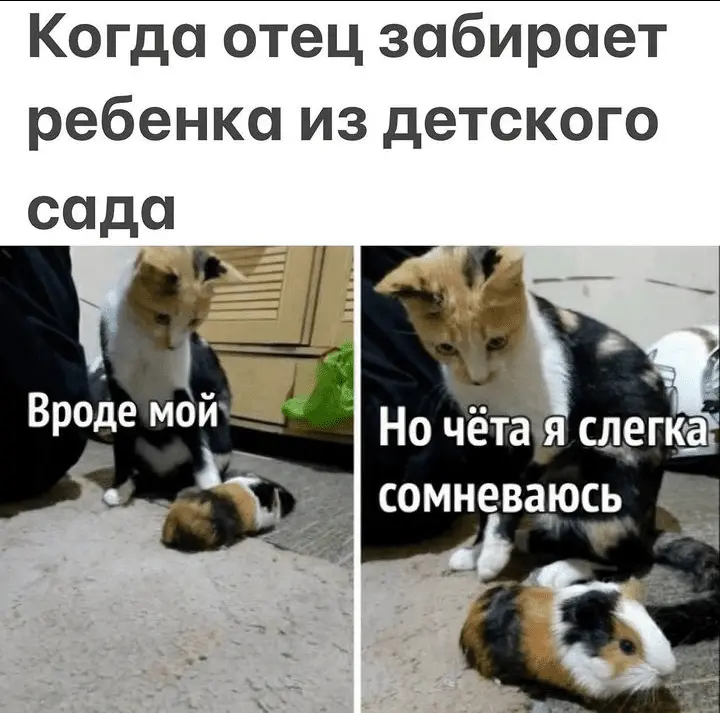 Screenshot_20240310-192332~2.webp