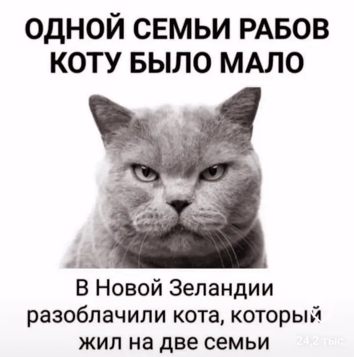 Screenshot_20240310-210447~2.webp