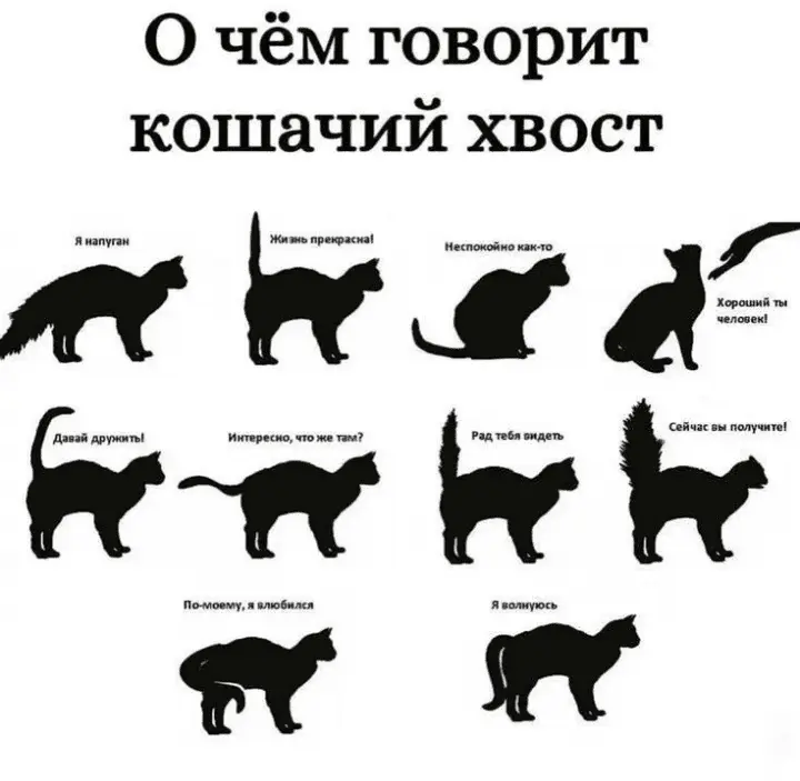 Screenshot_20240311-224730.webp