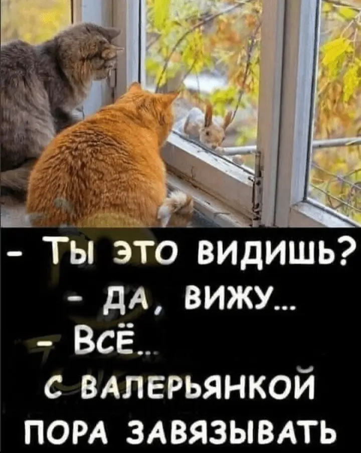 Screenshot_20240311-224939.webp