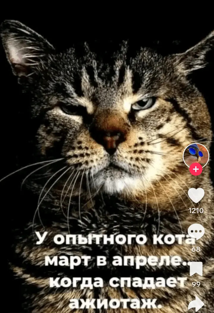 Screenshot_20240312-153124.webp