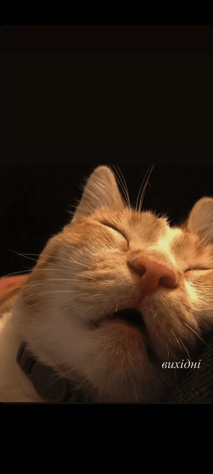 Screenshot_20240316-152859.webp